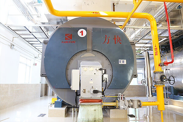 利民制藥有限公司4噸一體燃氣蒸汽鍋爐應用案例