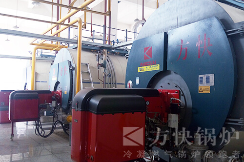 河北達利園食品加工高效節(jié)能燃氣蒸汽鍋爐應用案例