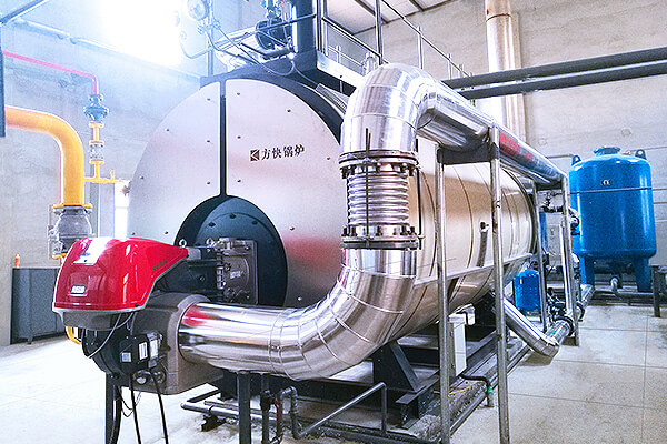 北京雙鷺藥業(yè)股份有限公司1噸冷凝蒸汽鍋爐應用案例